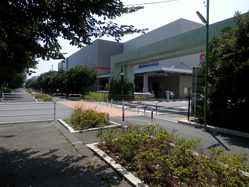 20130816 010.jpg